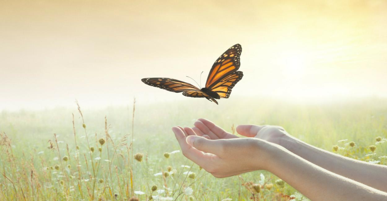 Learning to Let Go