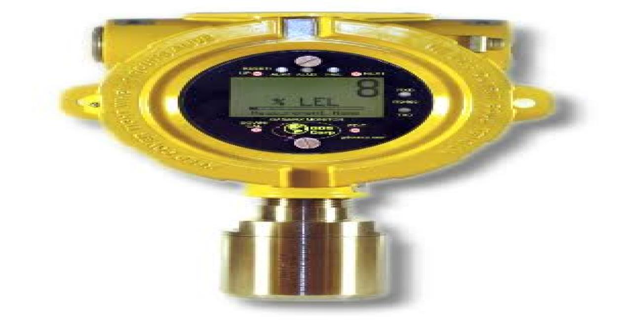 Gas Detectors